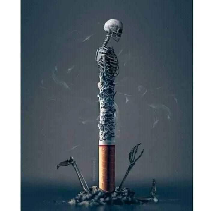 یوسف tweet media