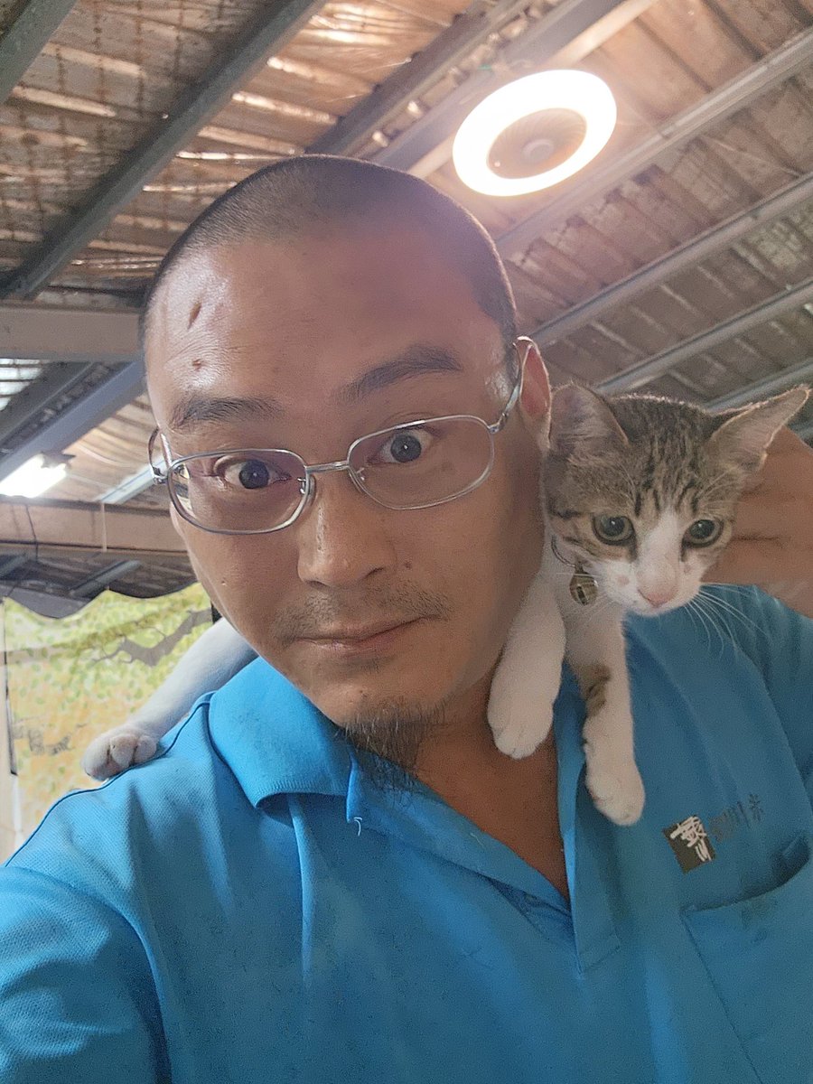 vb7836's tweet photo. 天使的光環 https://t.co/6jLfOzUL8p