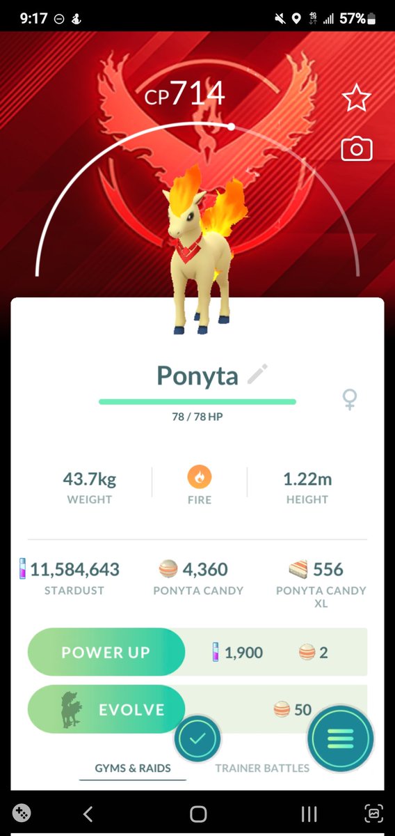 LadyDi1002's tweet photo. I'm so glad to get this back as I sent The Professor the last one. Damn good IVs to boot
#Ponyta
#MyFirePony
#CostumePokémon
#CostumePonyta
#ValorBackground https://t.co/oVyWfIfso3