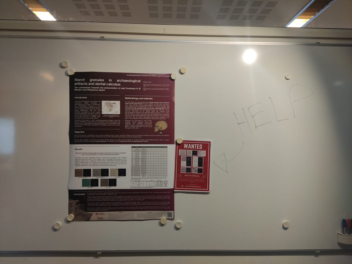 cano_nit's tweet photo. When you were at an Ancient Starch conference, and you have some non-identified microremains. Desperate times call for desperate measures 🆘 🤣 https://t.co/TswWa5NUtj