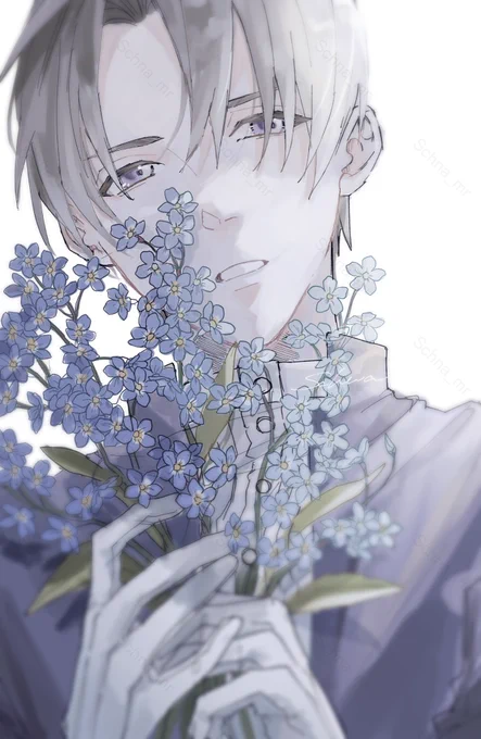 forget-me-not