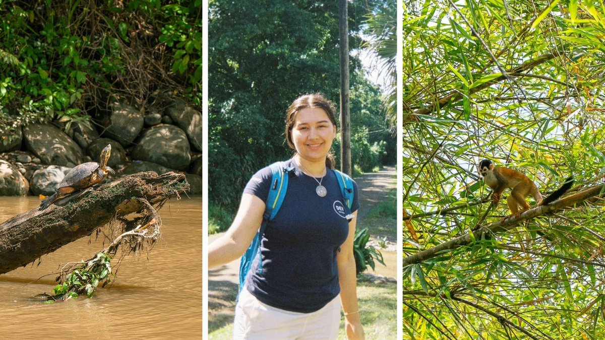 Carleton International tweet media