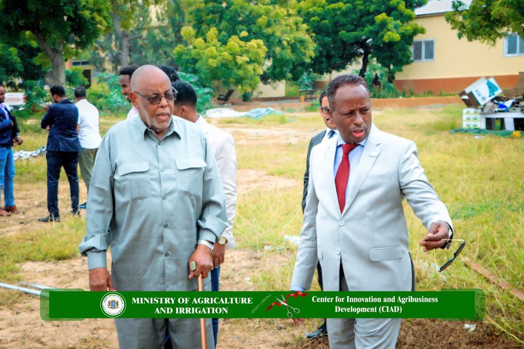 AbdirisakUrug's tweet photo. The Center for Innovation and Agropreneurship Development  is revolutionizing Somalia’s agribusiness by empowering youth and women with targeted training, enhancing productivity, and fostering strategic partnerships. This initiative is key to modernizing our agricultural economy and driving sustainable development. #Somalia