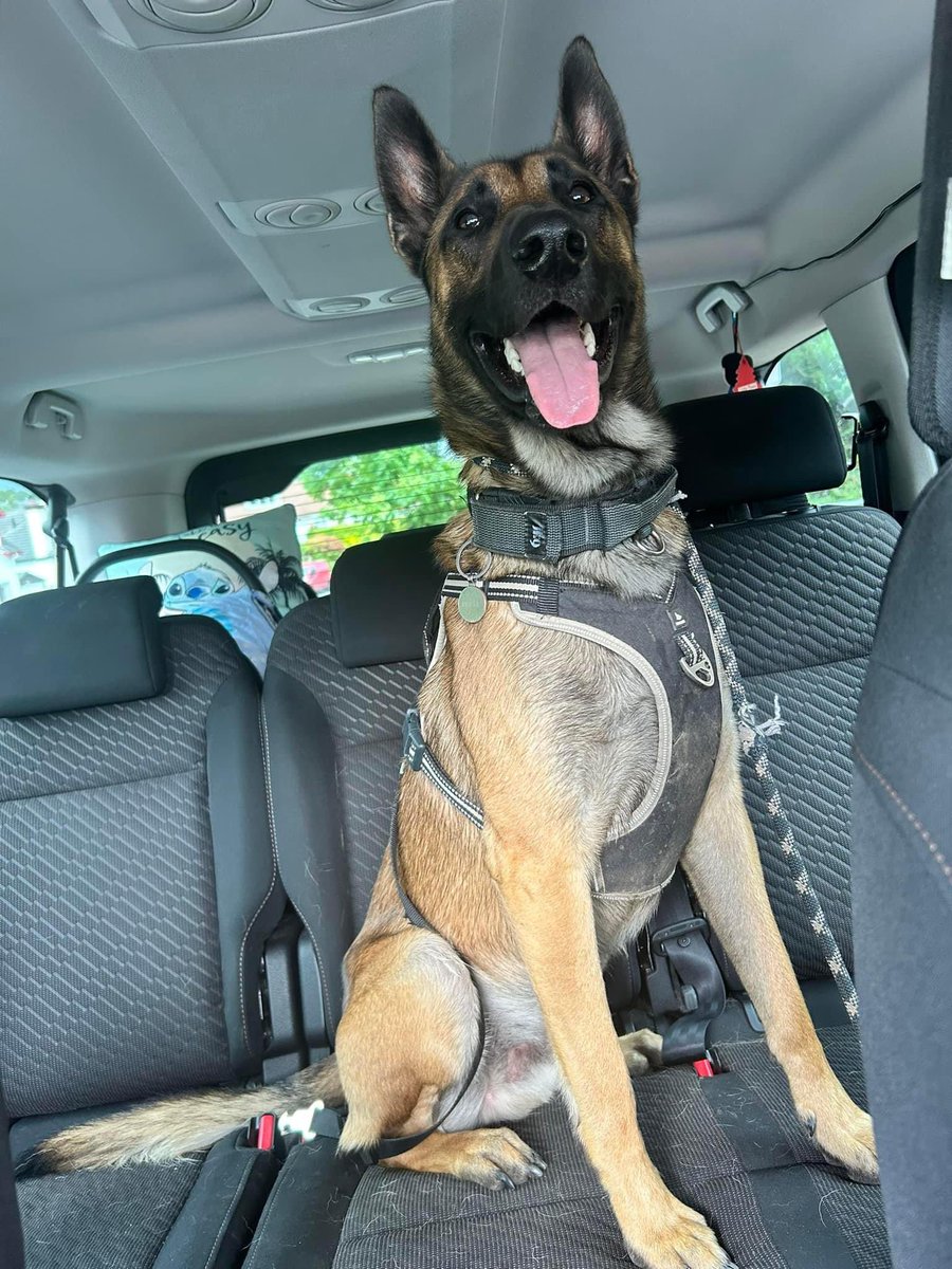 west coast bricks 🧱 tweet media