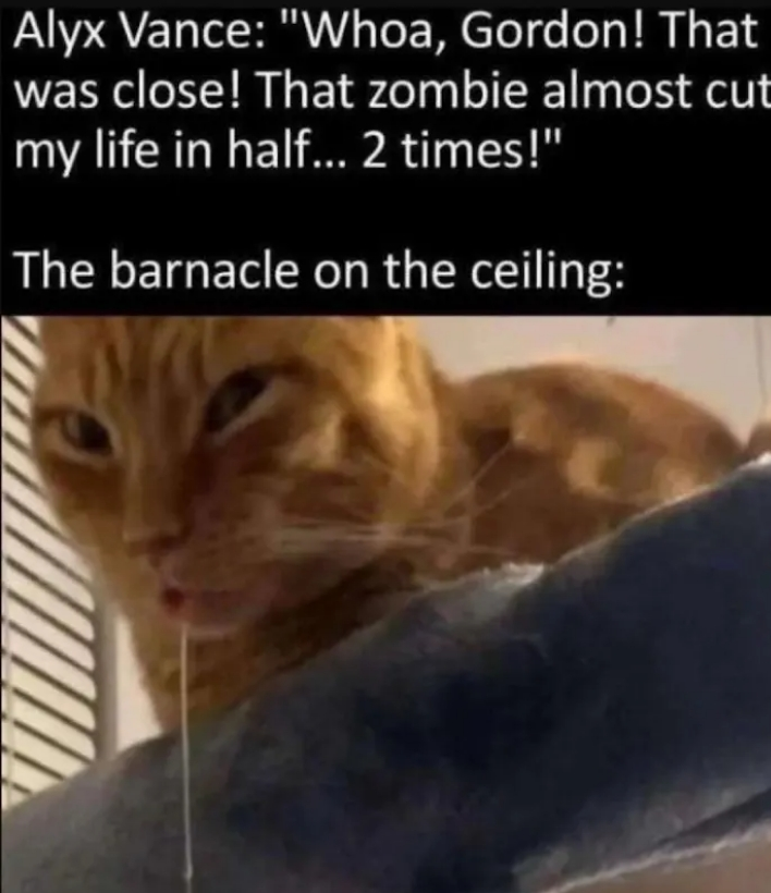 hlbs4life's tweet image. 