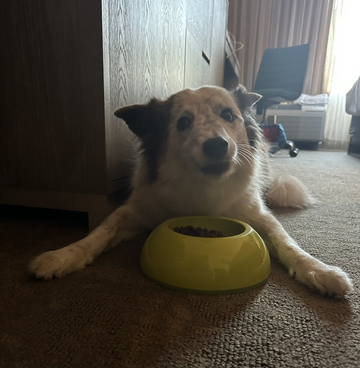 Why does Dad take pictures of me eating