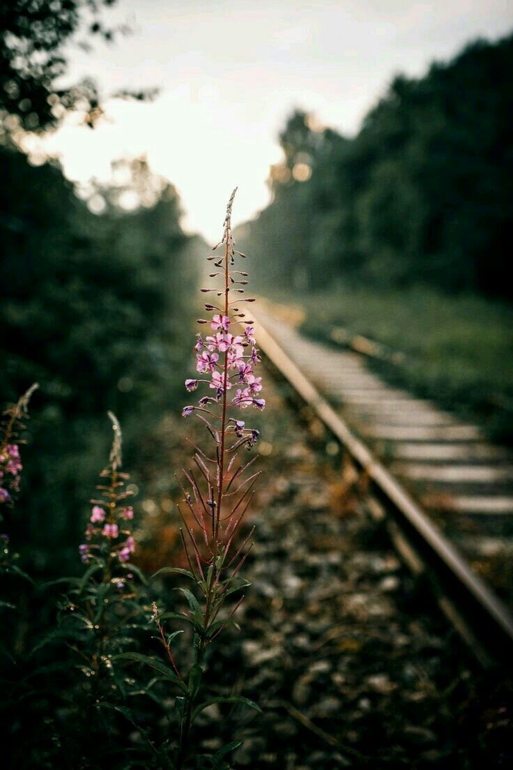 كلمات
كالظل لاتقع بفخ
ضياء السطور..

#ندى