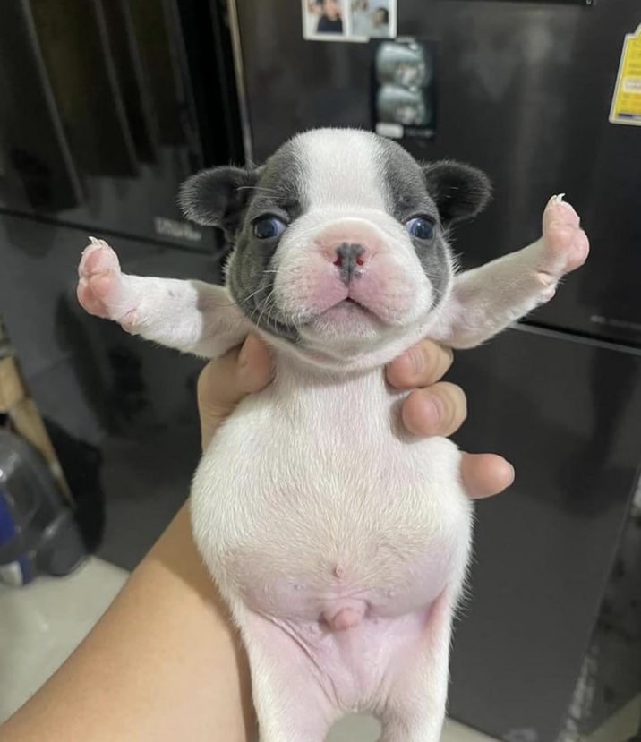 STOOOOOPPPPPP FIGHTINGGGGG!!!!!!!