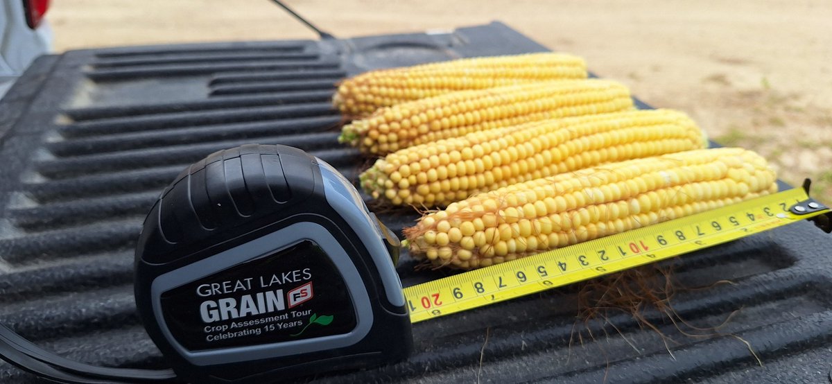 Devin Homick tweet media