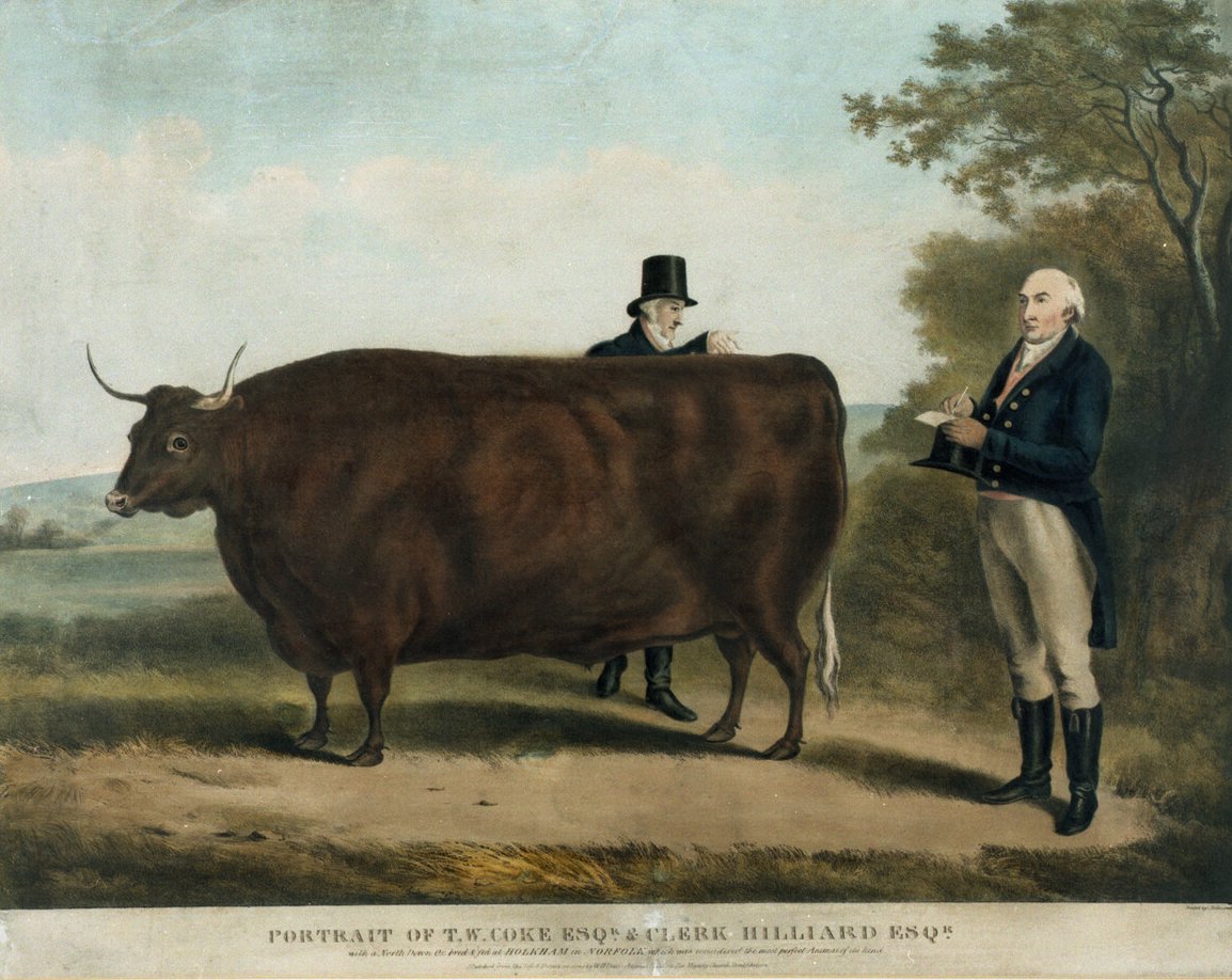 And by cow, you should've somehow realised what you gotta moo