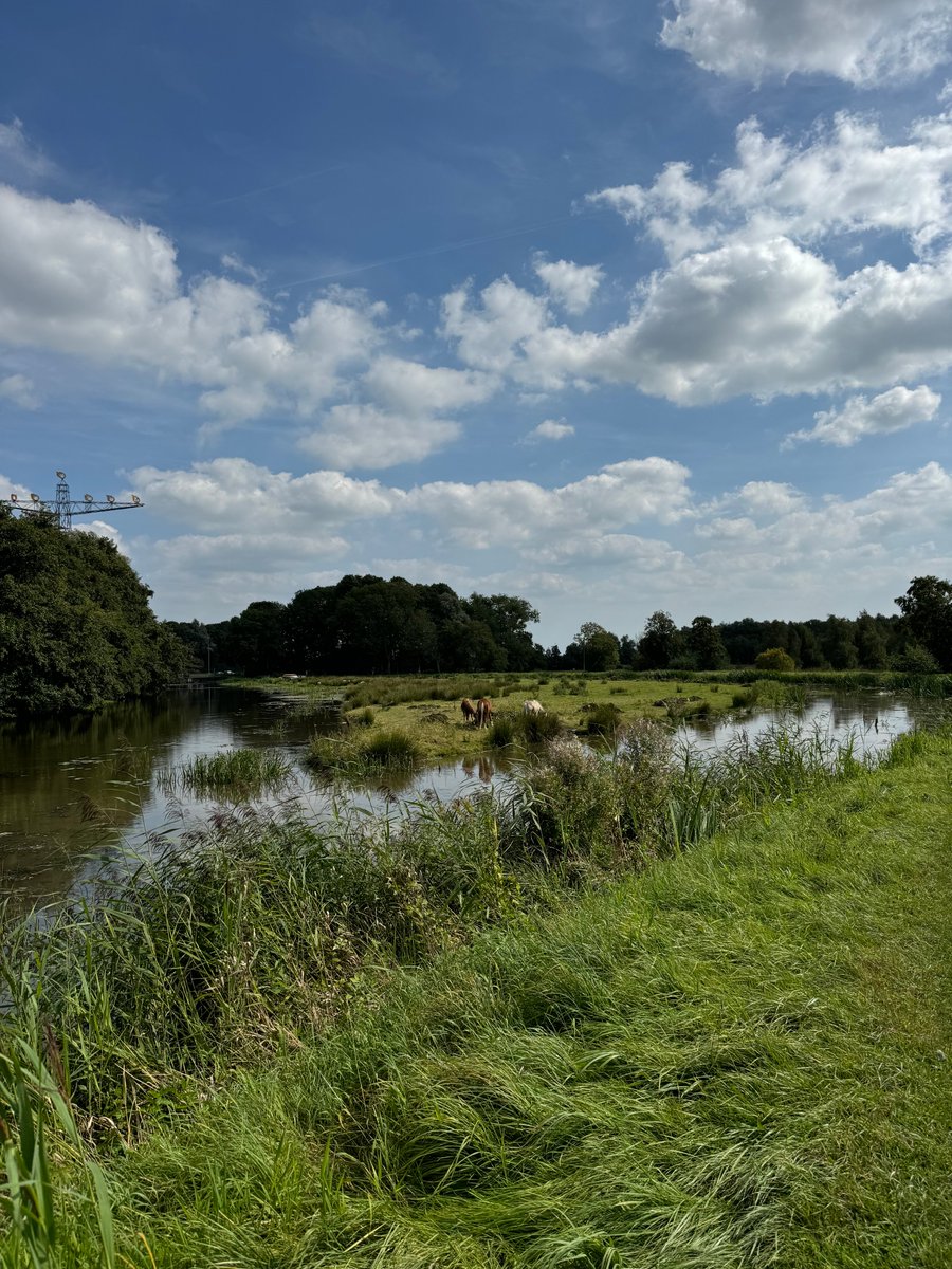 Wat zijn we toch vaak op mooie locaties aan het werk in de provincie Groningen. Vandaag voor het <a href="/meerschap/">Meerschap Paterswold</a> Paterswolde bezig met het verwijderen van waternavel in de omgeving van het Hoornse- en Paterwoldsemeer door de inzet van ons nieuwe amfibieboot Truxor #Groeningoedehanden