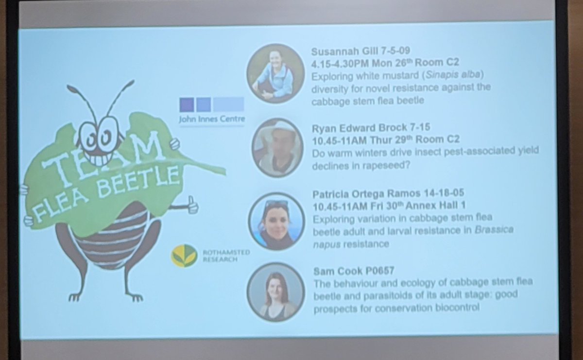 Sam Cook (@samcook_ipm) on Twitter photo <a href="/OilseedRachel/">Rachel Wells</a> <a href="/ice2024kyoto_jp/">International Congress of Entomology 2024 Kyoto JP</a> Great talk👏👏👏 and thanks for the plug for the next <a href="/ice2024kyoto_jp/">International Congress of Entomology 2024 Kyoto JP</a> #CSFB presentations! <a href="/OilseedRachel/">Rachel Wells</a> <a href="/ice2024kyoto_jp/">International Congress of Entomology 2024 Kyoto JP</a> Great talk👏👏👏 and thanks for the plug for the next <a href="/ice2024kyoto_jp/">International Congress of Entomology 2024 Kyoto JP</a> #CSFB presentations!
