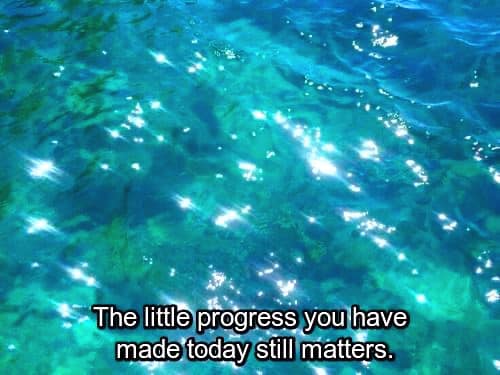 RespectfulMemes's tweet image. 