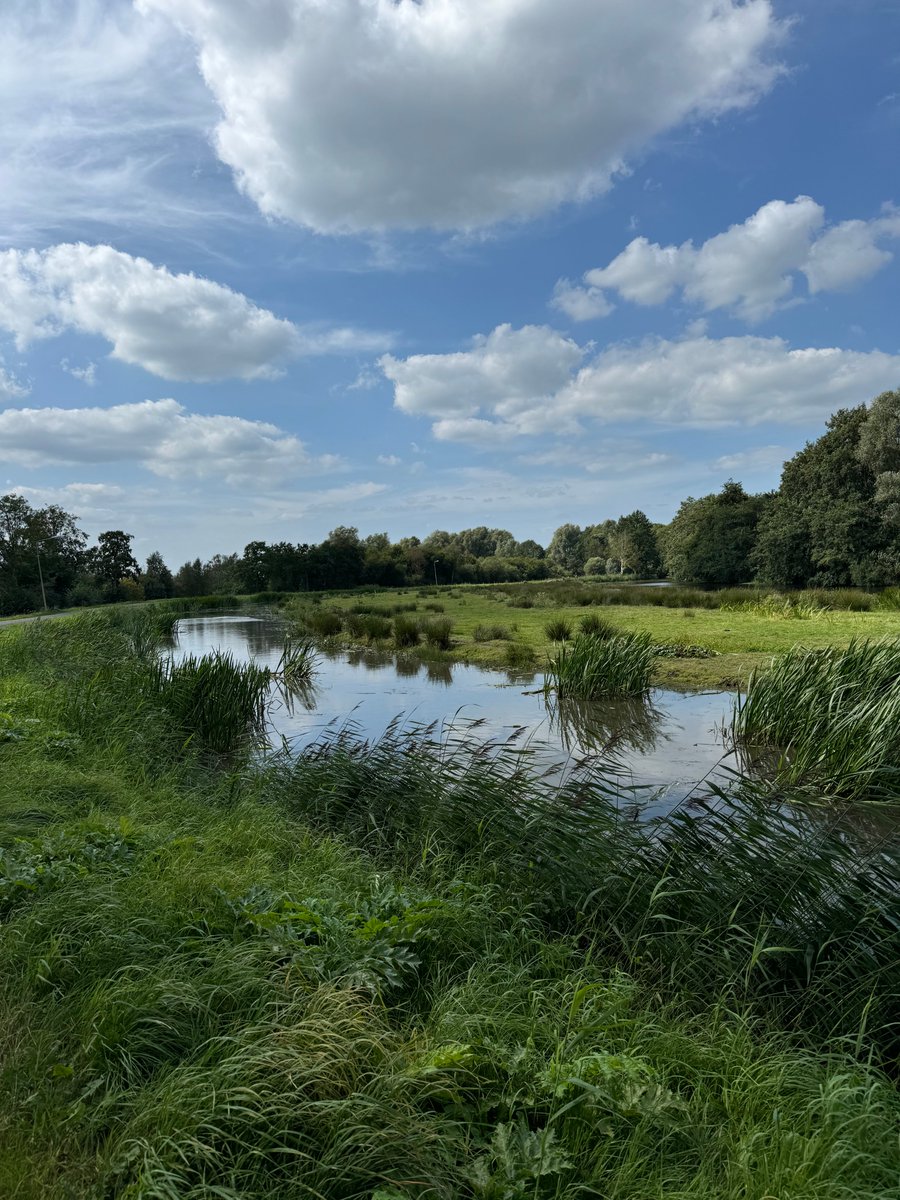 A.J. v/d Werf BV/De Roo Drente BV tweet media