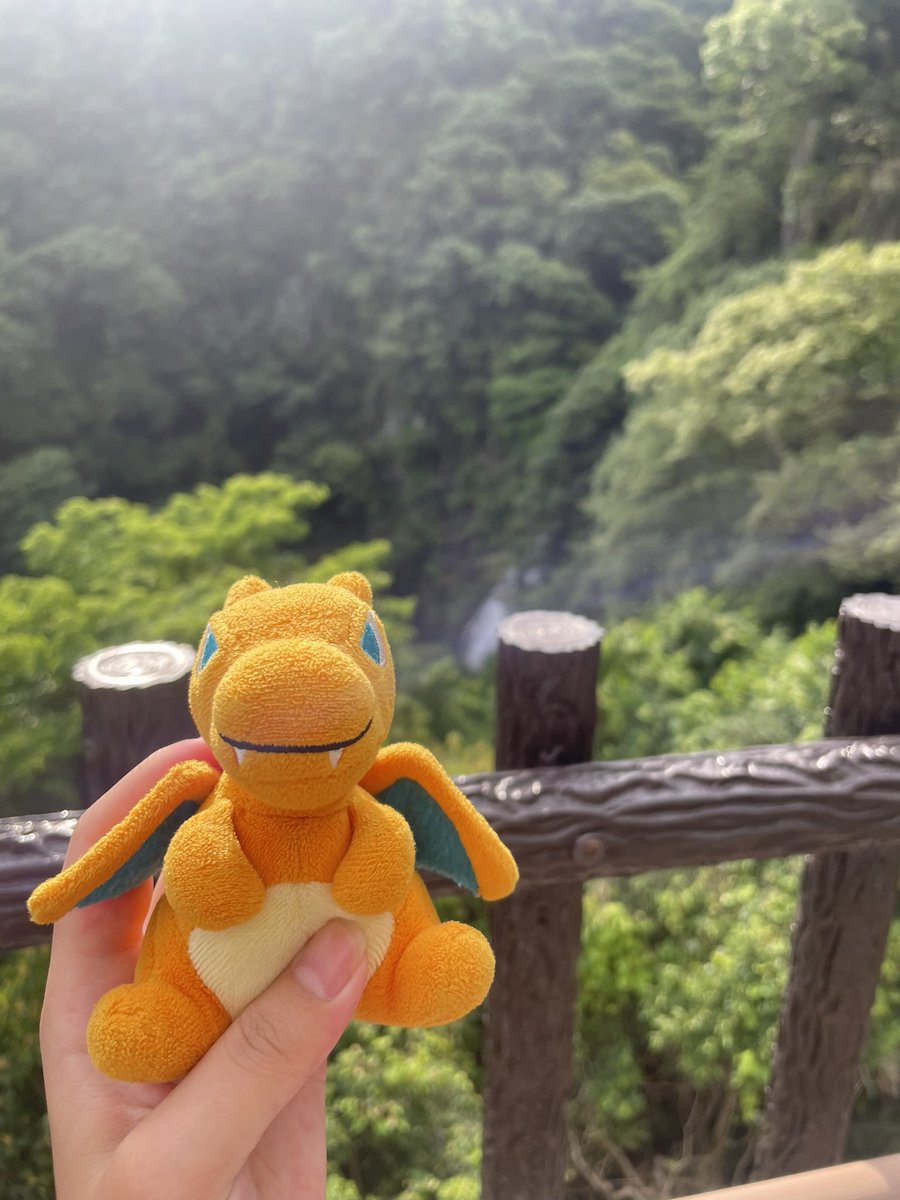 ぬーさんとざーどんさんです😂
1枚目は主の服を着せてみました🤣
2枚目はおでかけざーどんさんです🥰
 #ヌオー  #リザードン