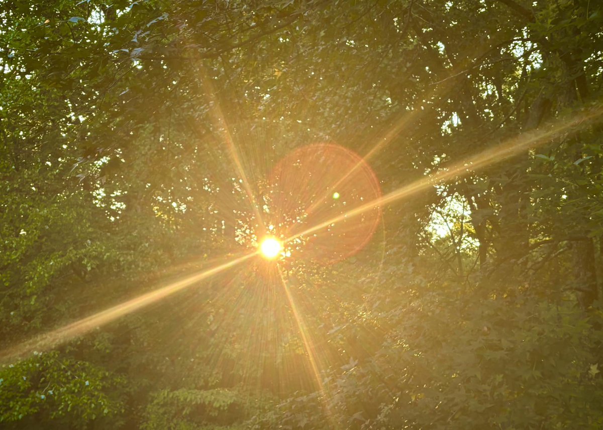For anyone else who needs to hear this today. “With each new day I put away the past and discover the new beginnings I have been given.”