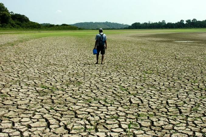 lari_offc's tweet photo. E além da perda da biodiversidade (lembrando que muitas coisas da Amazônia são convertidas em recursos MEDICINAIS também), a agricultura e a própria pecuária dependem das chuvas que a Amazônia ajuda a regular. https://t.co/z4IAtSNIcH