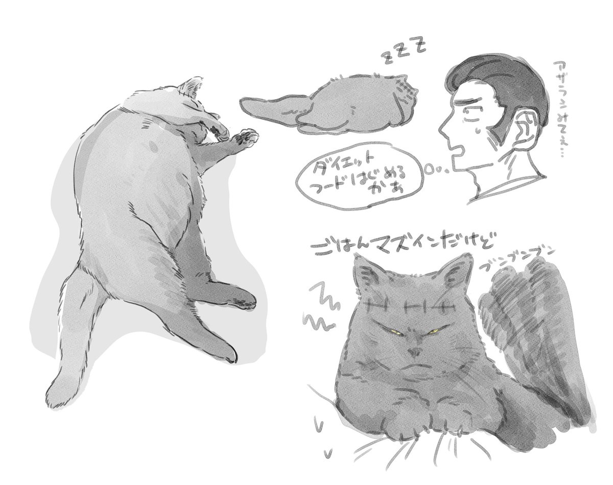 猫羂と悩める髙さん 