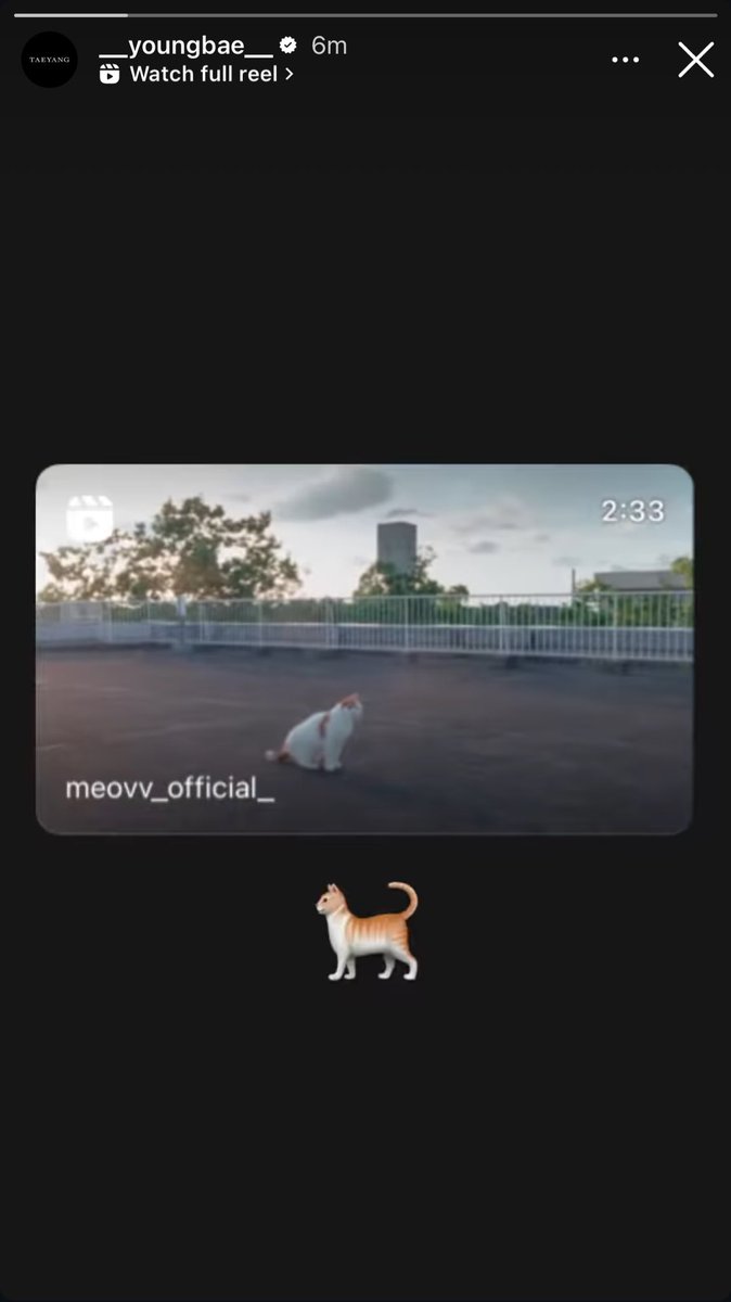 [📷] Taeyang postou o vídeo da Anna nos stories.

#MEOVV #미야오 #Anna #안나