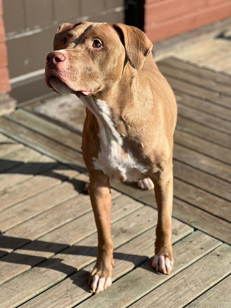 CryogeniX.cro🦠 tweet media