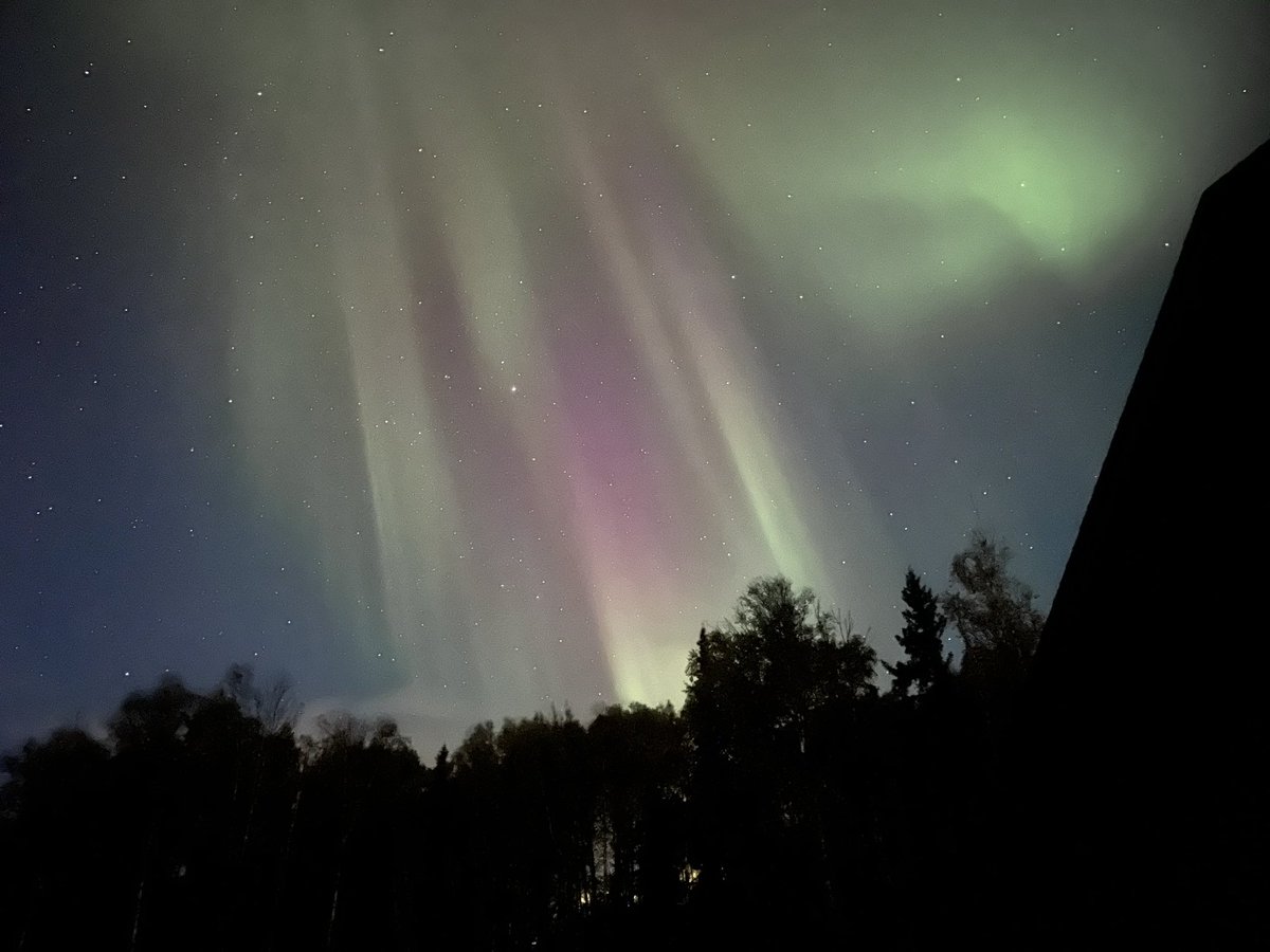 Isabella Colello tweet media