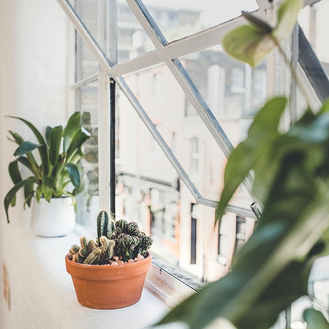 Every morning at 8.30 am the team starts preparing for the day ahead. 

Rooms are set up, breakfast is prepared, plants are watered and the tech is fine-tuned. 

It only feels effortless because we work so hard.