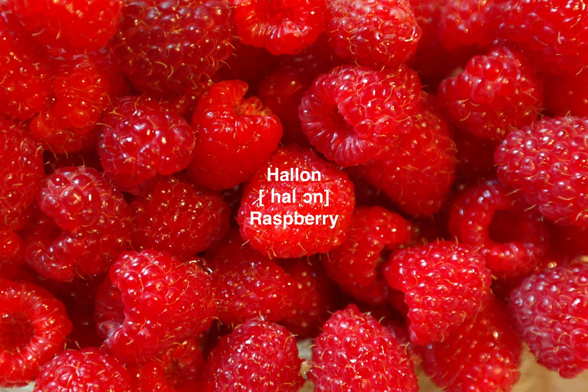 SpeakSwedish's tweet photo. #Swedish berry of the season: #Hallon (#Raspberry) is a delicious summer berry you often see decorating everything from yoghurts to cakes.
#maskihallonen https://t.co/EnEjWNtTLj