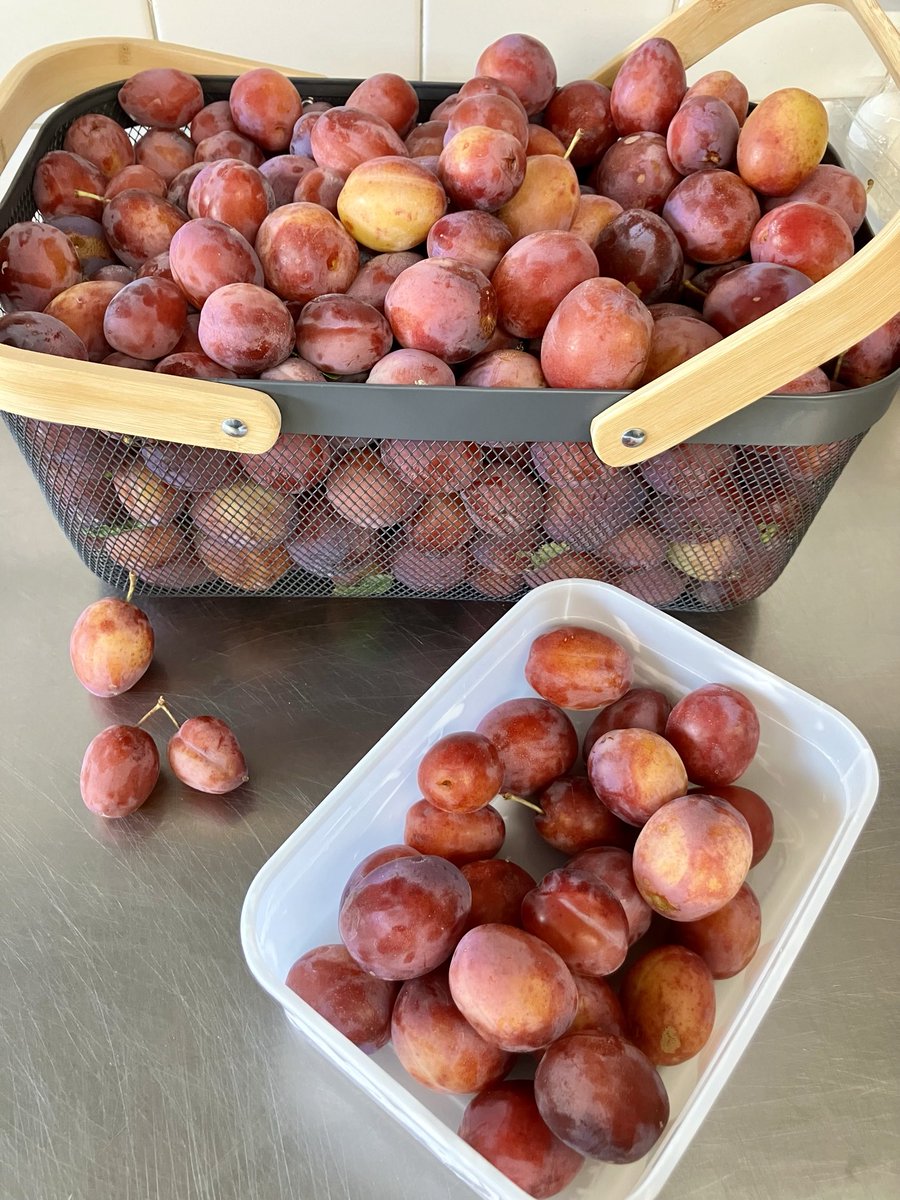 karen thompson tweet media