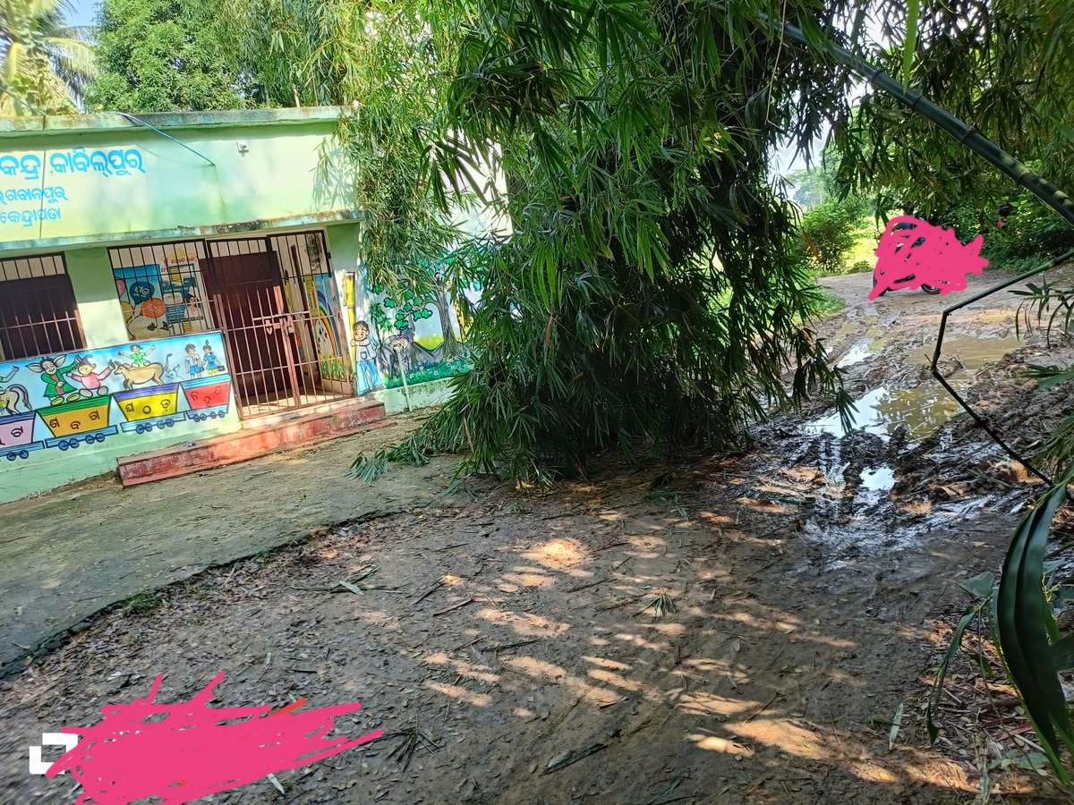 Nrusinghanaray8's tweet photo. Honarable @CMO_Odisha @SMEOdisha sir, please look into the situation and there is no road communication to this Anganwadi centre. Village -Kabilpur, block -Garadpur under district kendrapara. https://t.co/FAJ1MjonZL