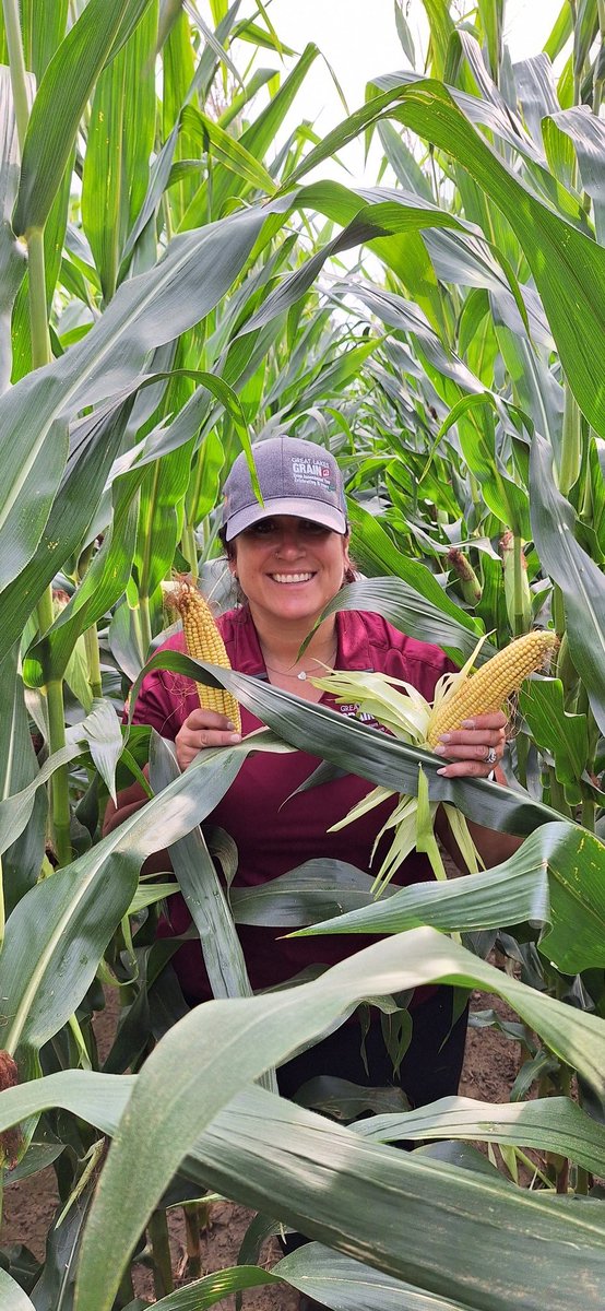 Devin Homick tweet media