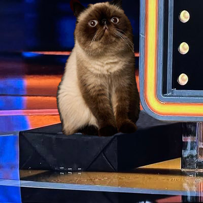 TeamPomato's tweet photo. Willow at Family Feud #WillowWalnut #TeamPomato https://t.co/hO1RnGx7fZ