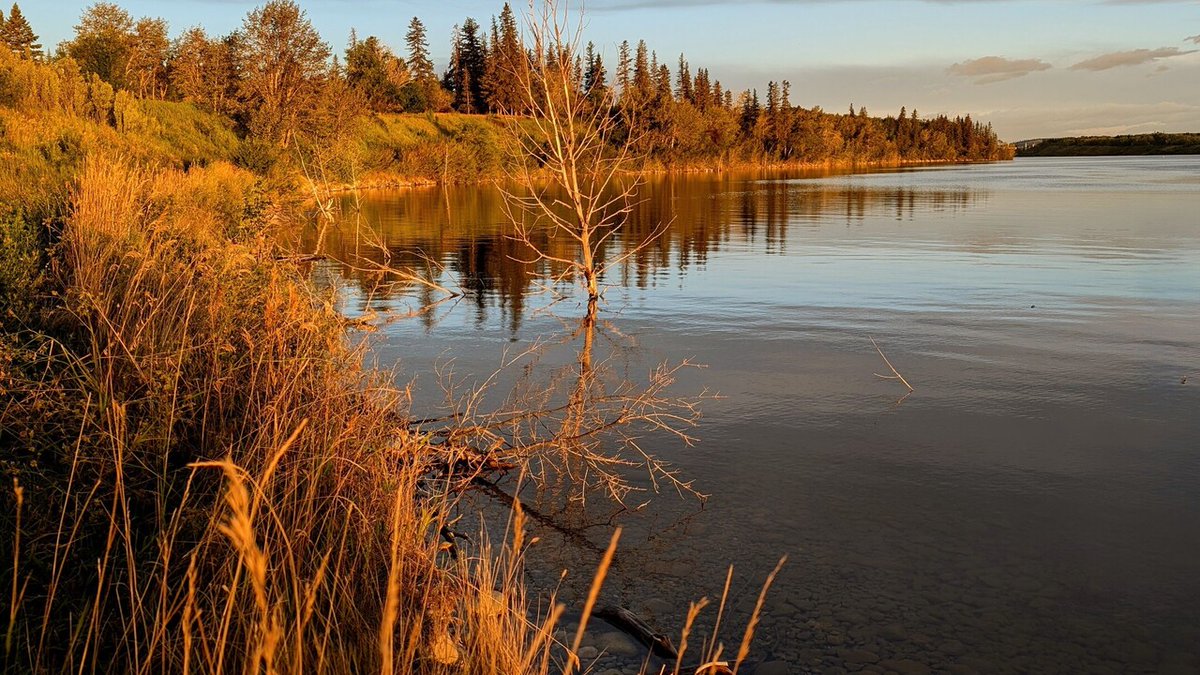 DebbieMolle's tweet photo. With the change in season approaching, the colours of mother nature are just striking.
#water #reflectionlake #reflection #sky #clouds #latesummer #alberta #yyc #yycnow #glenmorepark #tree #trees #golden #fall #autumn #calgary #calgaryalberta #calgaryalโฆ https://t.co/EBanxn37VT https://t.co/LPmUYgZlOX