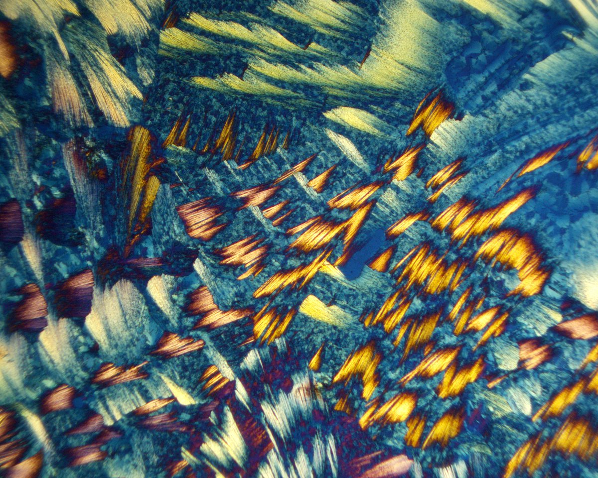 ivan_amato's tweet photo. Two scenic overlooks from a glass slide on which I grew crystals from a solution of the amino acids alanine and glutamine, two of the 20 molecular building blocks of your proteins. Each area you see here might fit inside this printed O. #sciart #scicomm #photography #sciart https://t.co/zhx7ACvYgL