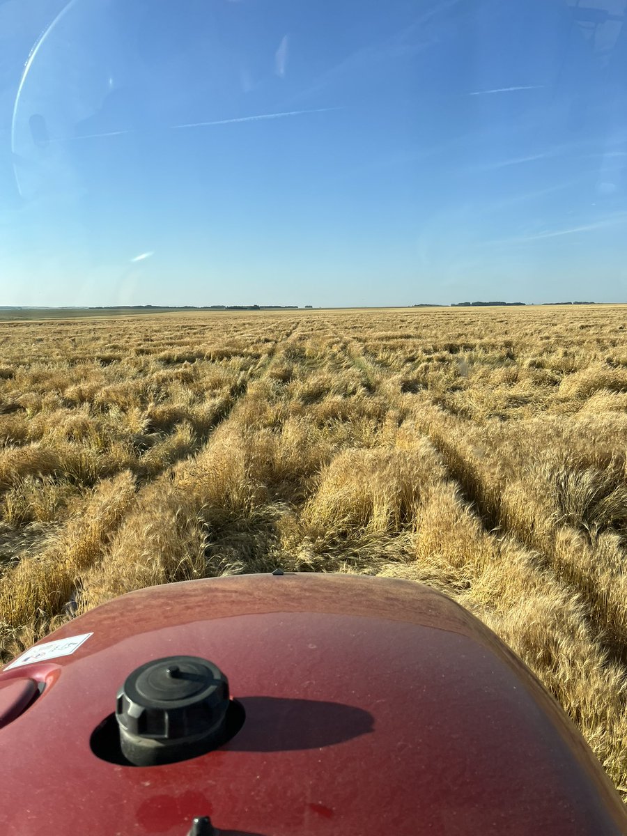 Chris Bauer tweet media