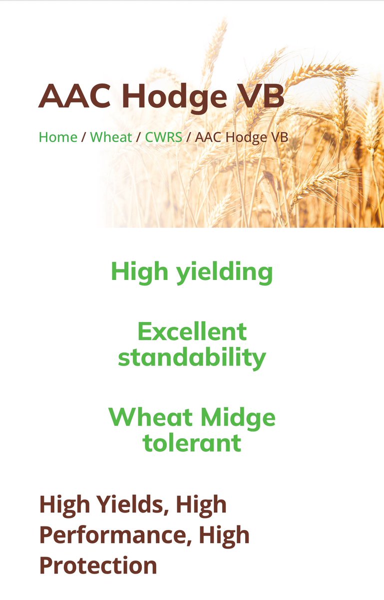 Chris Bauer tweet media