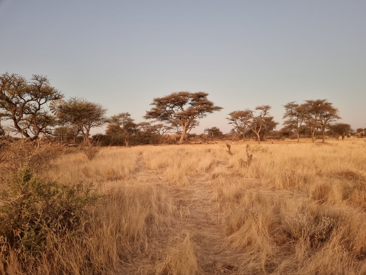 Vilhjalmur Thor (@villithor12) on Twitter photo Next steps for $UBQ in #Namibia #exploration #mining #gold #silver #vanadium #titanium #copper <a href="/Ubique_minerals/">Ubique Minerals Ltd</a>
accesswire.com/907793/acquisi… Next steps for $UBQ in #Namibia #exploration #mining #gold #silver #vanadium #titanium #copper <a href="/Ubique_minerals/">Ubique Minerals Ltd</a>
accesswire.com/907793/acquisi…