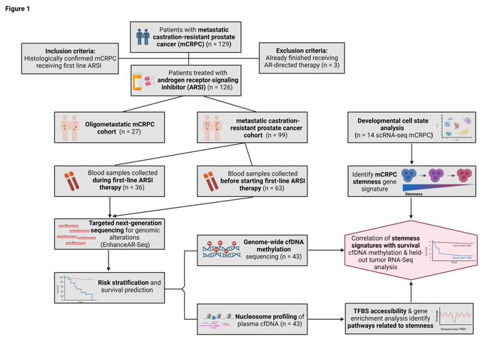 Analysis of cfDNA Reveals Stemness Linked to Poor Survival in Lethal Prostate Cancer 2 Image