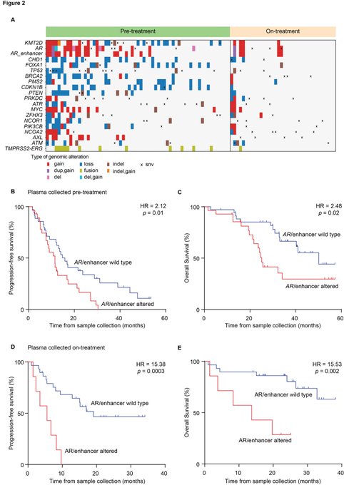 Analysis of cfDNA Reveals Stemness Linked to Poor Survival in Lethal Prostate Cancer 3 Image