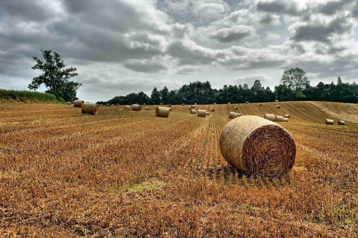 Des Coleman (@descoleman) on Twitter photo One week to go before the end of meteorological summer.
Great pic from Gary Debney showing the change 🍂. Have you got one? 📷
Send it to Centralnews@itv.com 😀 One week to go before the end of meteorological summer.
Great pic from Gary Debney showing the change 🍂. Have you got one? 📷
Send it to Centralnews@itv.com 😀