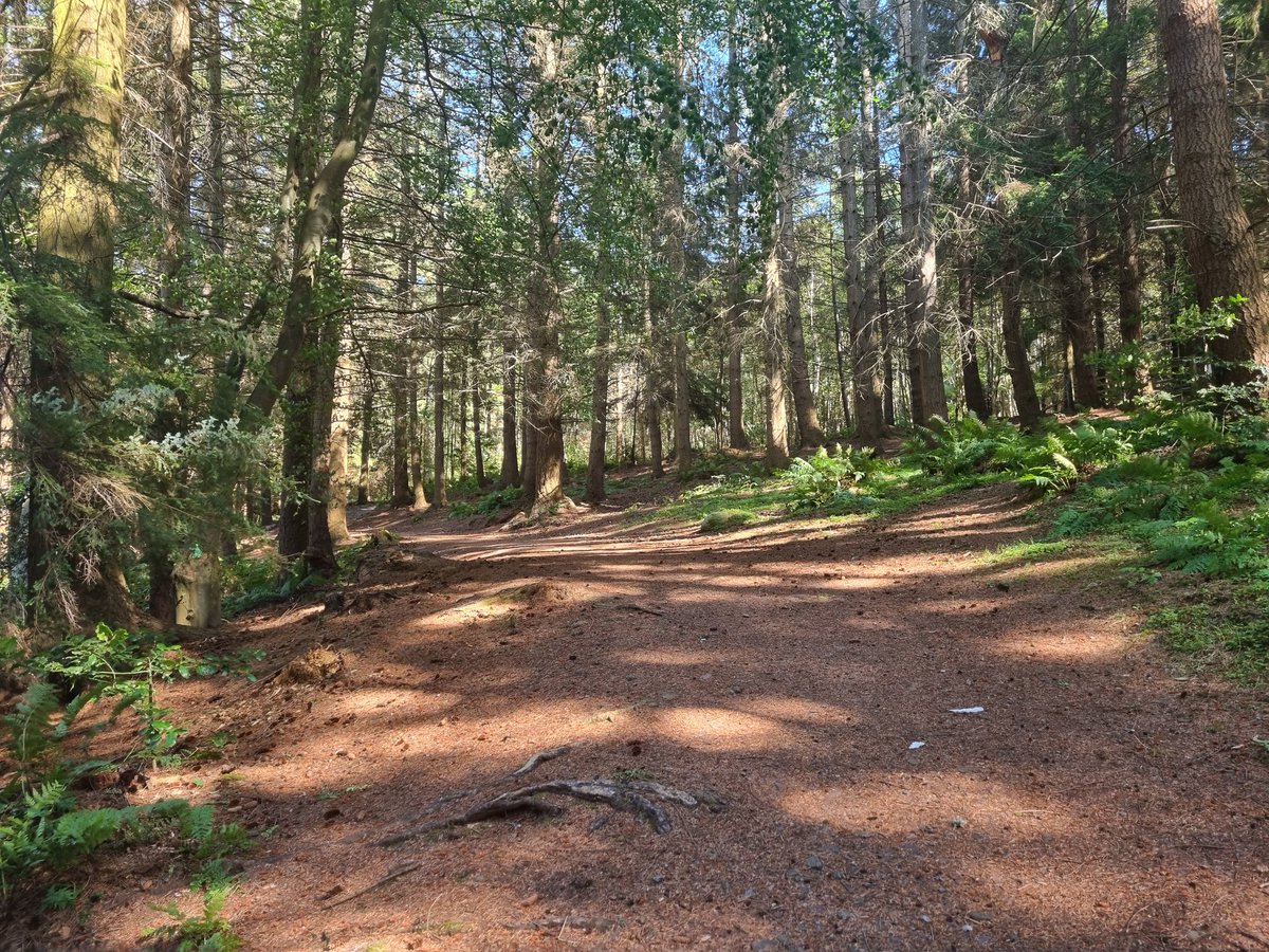 4.6 miles before breakfast. 
6.3 miles after lunch.
Fair enjoying these walks of late 👍🏼