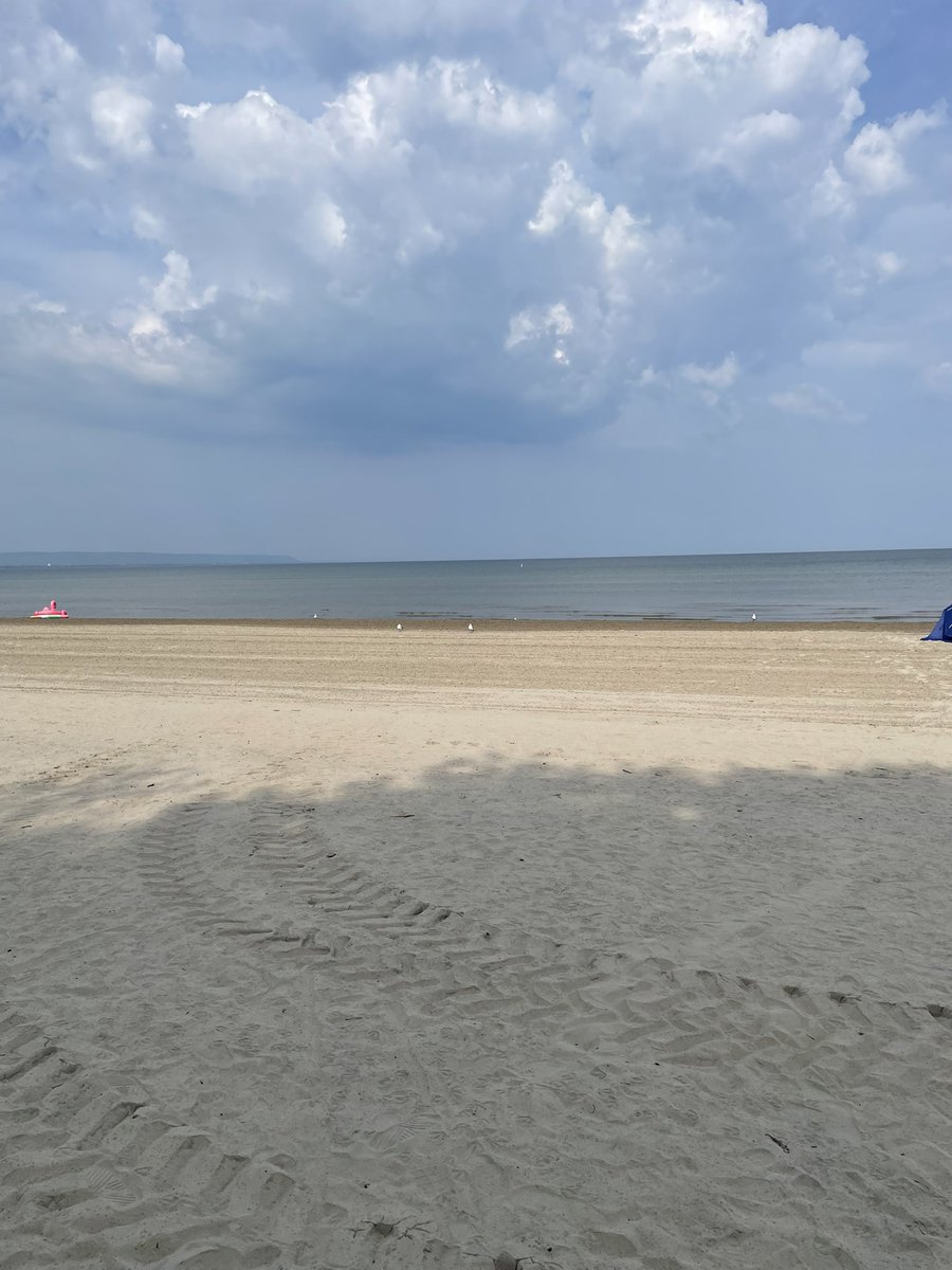 🇨🇦Dave Anchovy tweet media