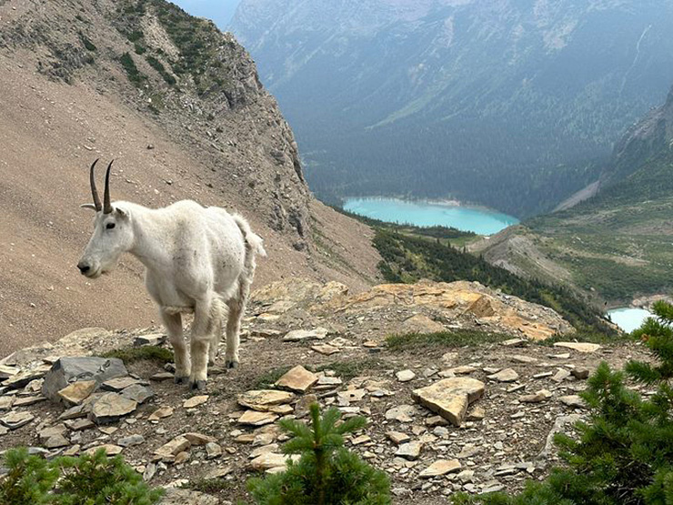 Working@Duke tweet media