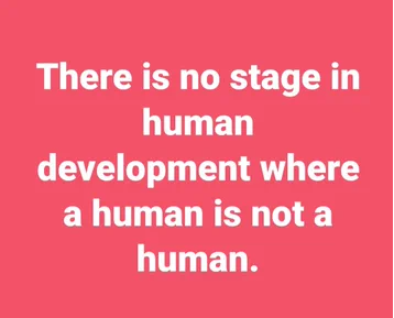 LifeNews.com (@lifenewshq) on Twitter photo 