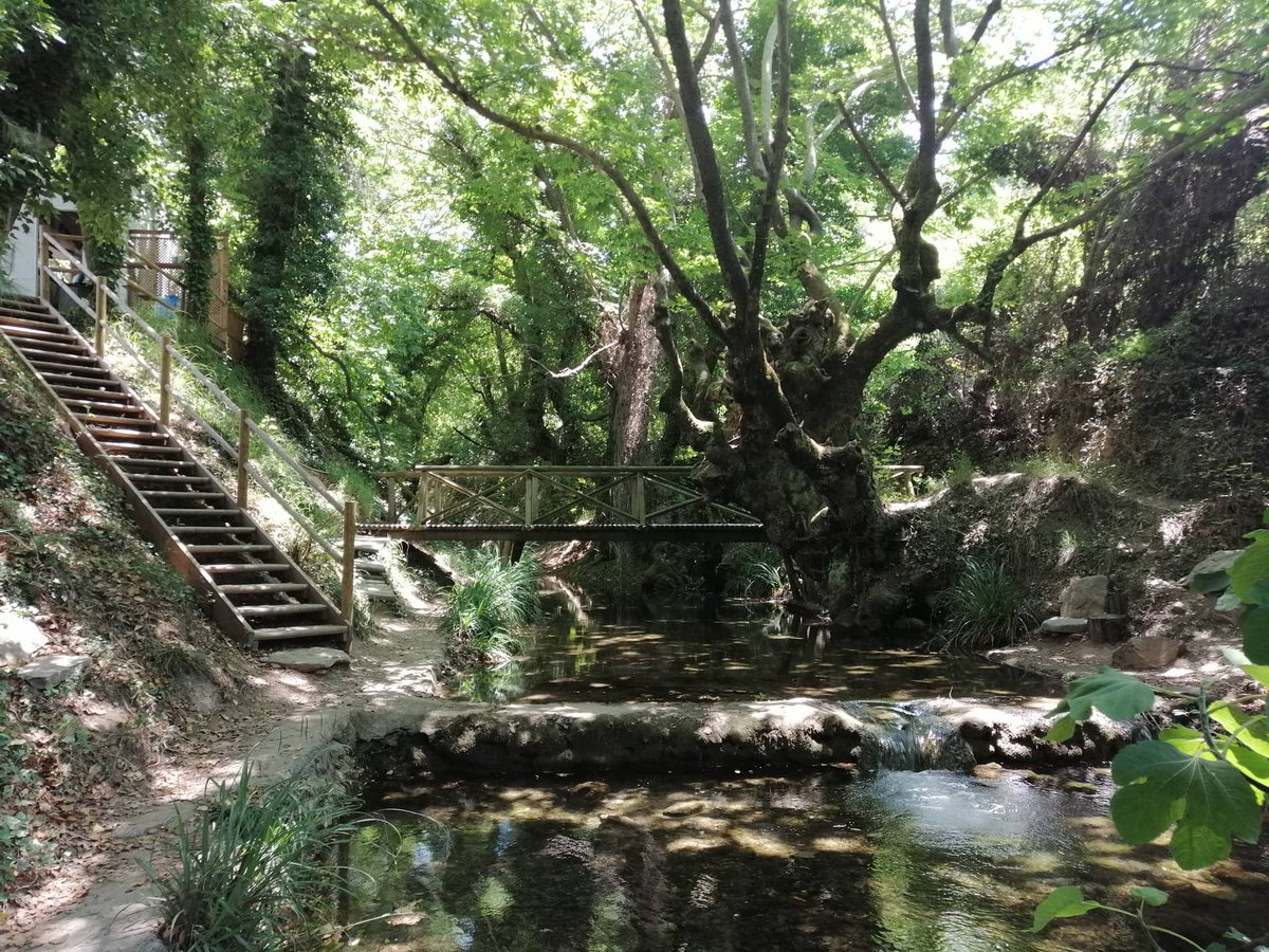 KIOSKI #Varnavas 2020 #Water #Soundwalk
#fieldrecording #CreativeCommons
LISTEN soundcloud.com/annastereo/kio…

On the occasion of the recent (11Aug2024) #wildfire at the area, and as a Wish for Rebirth ~

Kioski Café Κιόσκι OPEN on Weekends
INFO insta @kioski_varnavas