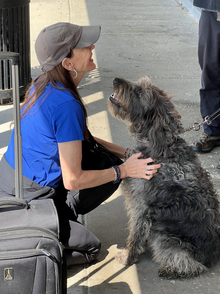 Proof that <a href="/StephMillerShow/">Stephanie Miller</a> is a huge dog lover. While rushing to the airport Friday, she still had time to say hi. You can see how the dog knew Mama has a beautiful heart. It’s not weird; it’s love. And that’s how I choose to live and vote. ❤️🐶💙 #doglover #harriswalz2024