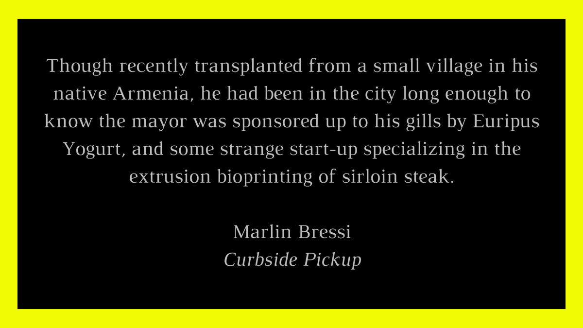 In Marlin Bressi's "Curbside Pickup," we explore a reality that doesn't seem too far off. What to do when everyone and everything around you is sponsored? Find out in CHROMA, 8/31. #WritingCommunity #ampublishing #litmag