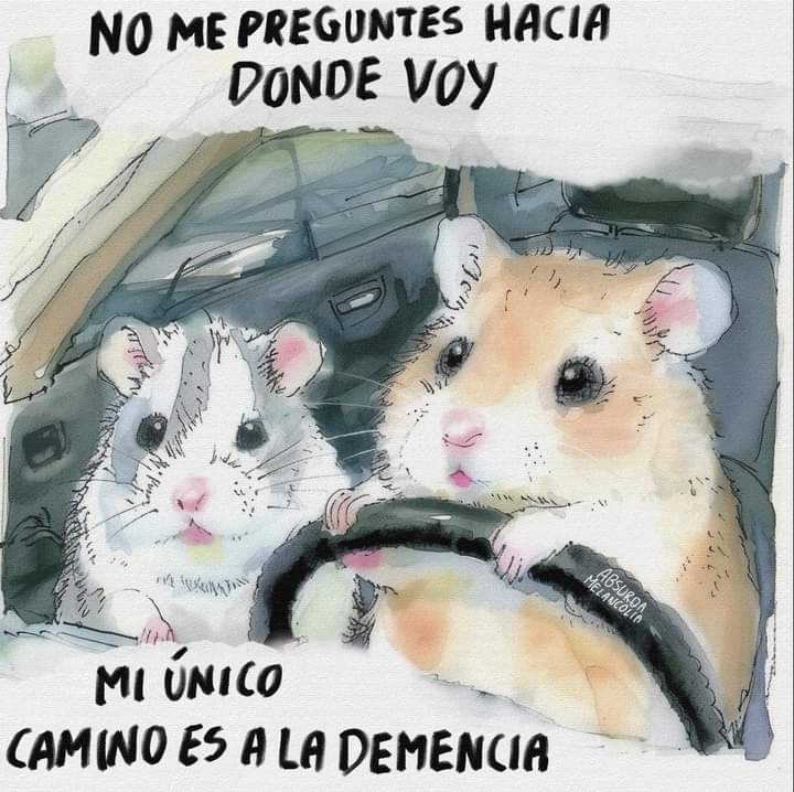 absurdamela's tweet image. 