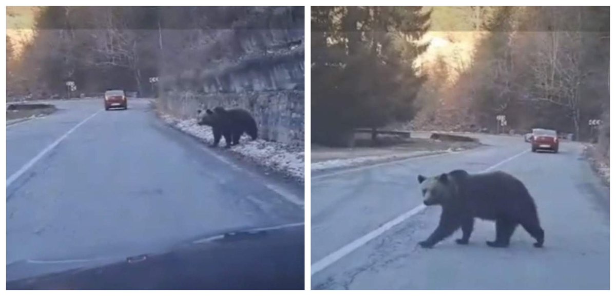 Să fie asta semn de bear market?