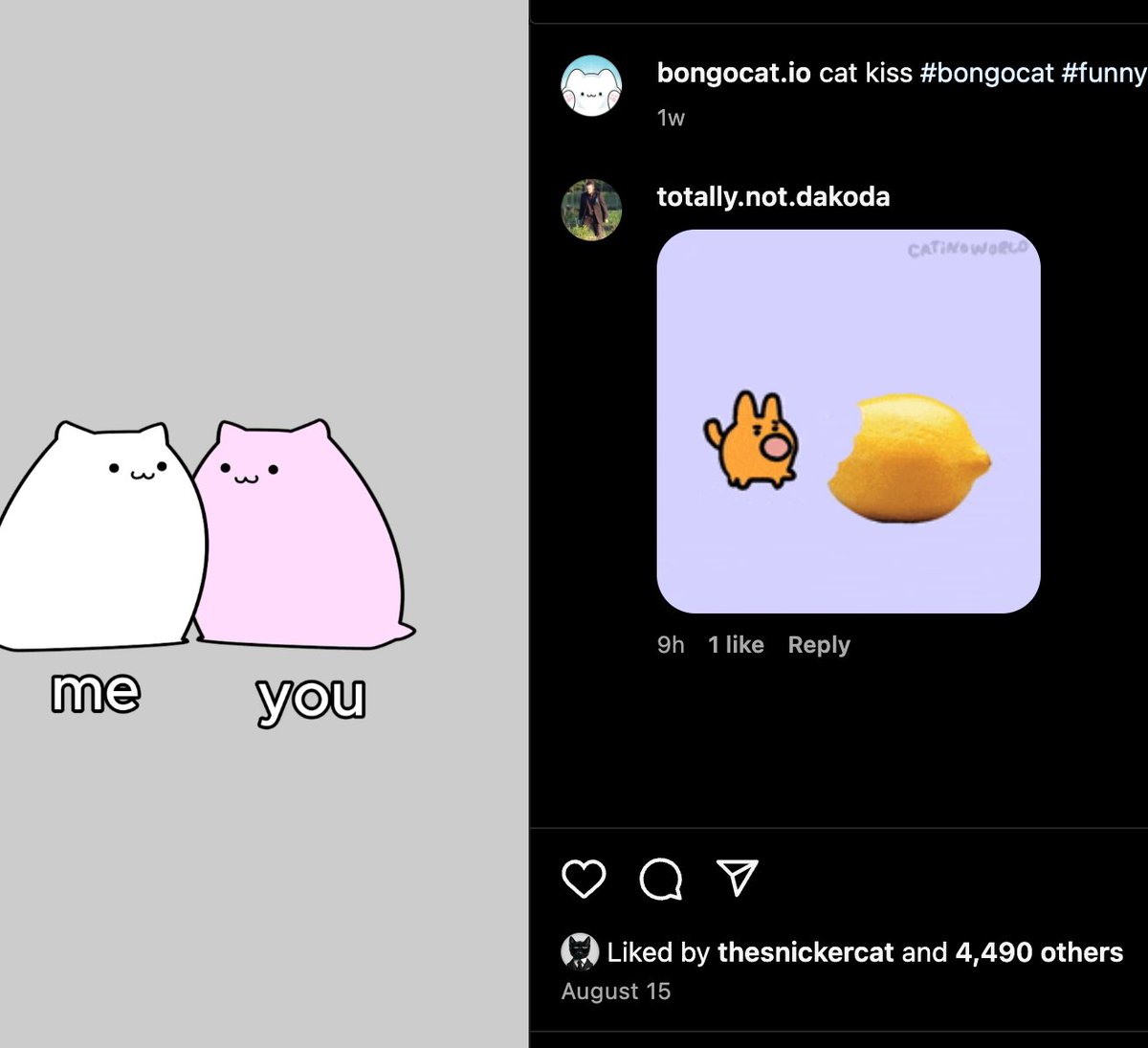 Bongo Cat Instagram is popping off! We have worked really hard to bring back bongo cat meme to life and we are succeeding! 2024ifying Bongo Cat will drive its success into the future.