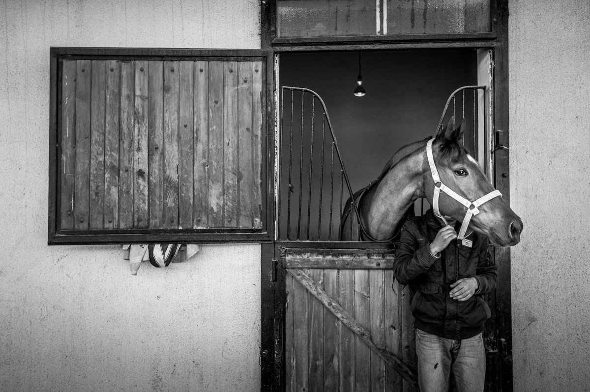 FIAP Silver Medal and FIAP Best Author awards 😍
+1 Honorable Mention +4 Image Exhibition.
Arbella Pasta 14th International Photography Competition
Stableman at the Foundation
foundation.app/mint/eth/0xfFE…